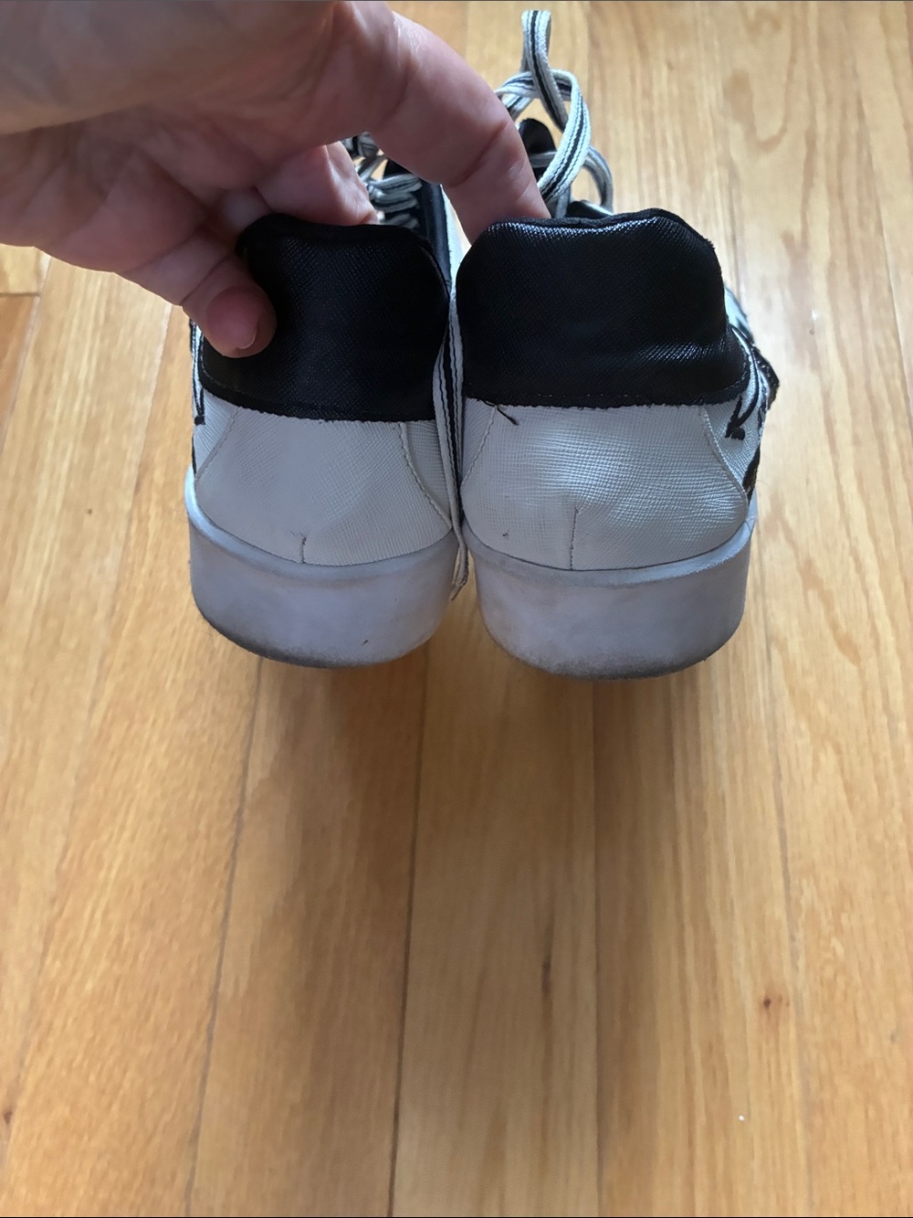 Animal White and Black Canvas Sneakers with Graphic Detailing - Picture 6 of 8